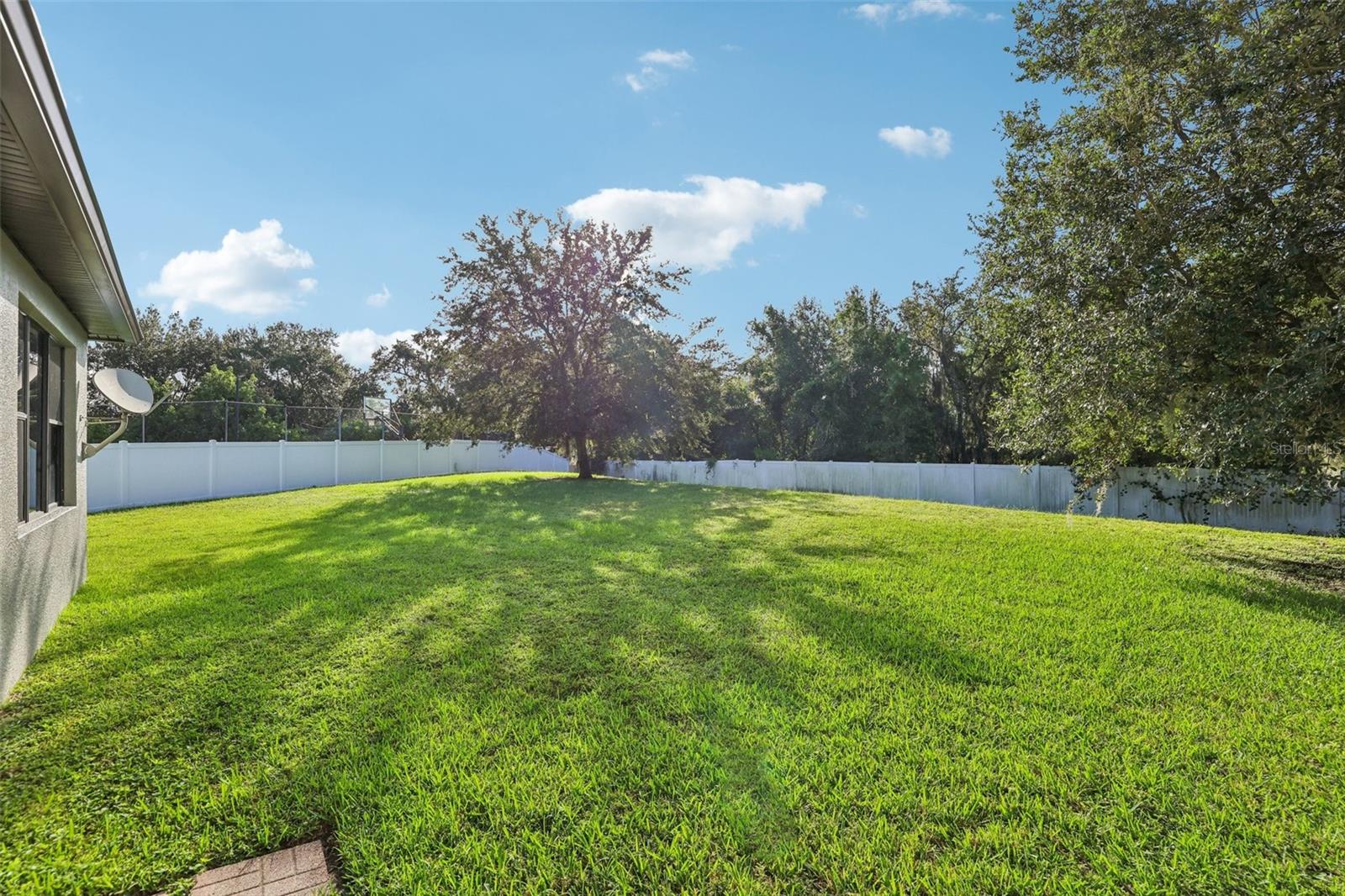 3978 Blossom Dew Dr Property Photo 59