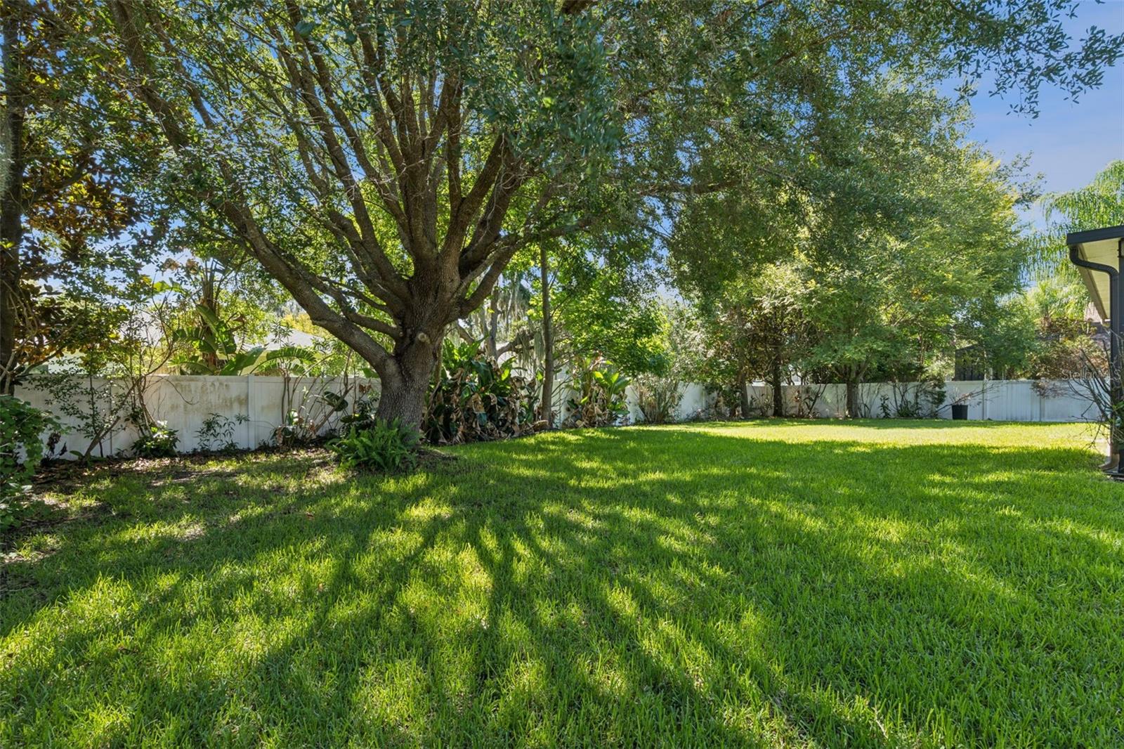 3193 Toho Ct Property Photo 26