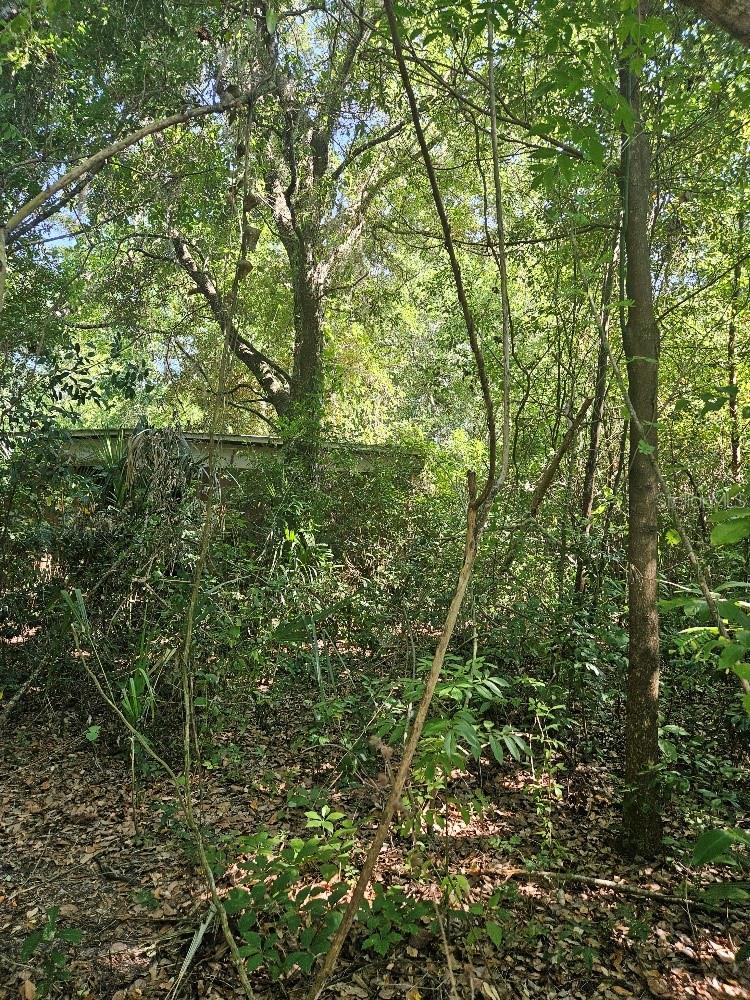 Private Dr Property Photo 4