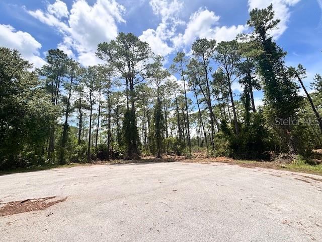 Chinaberry Way Property Photo 1