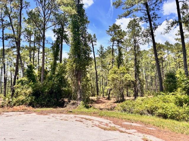 Chinaberry Way Property Photo 2