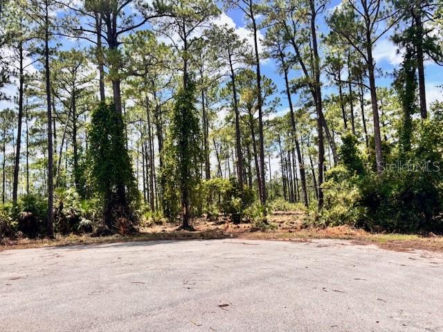 Chinaberry Way Property Photo 3