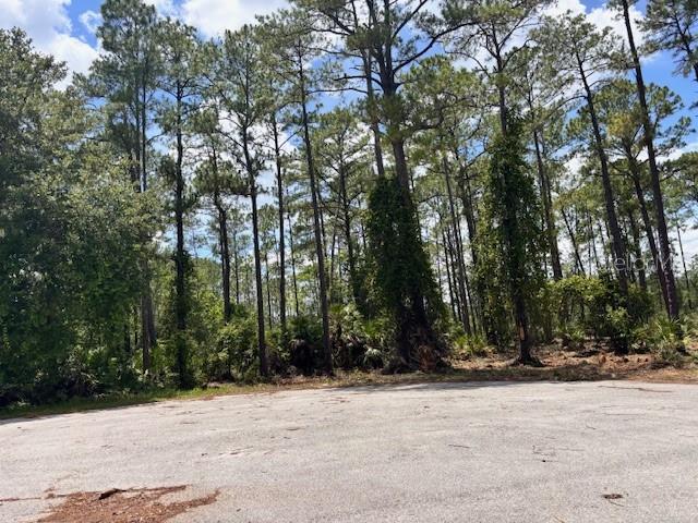 Chinaberry Way Property Photo 4