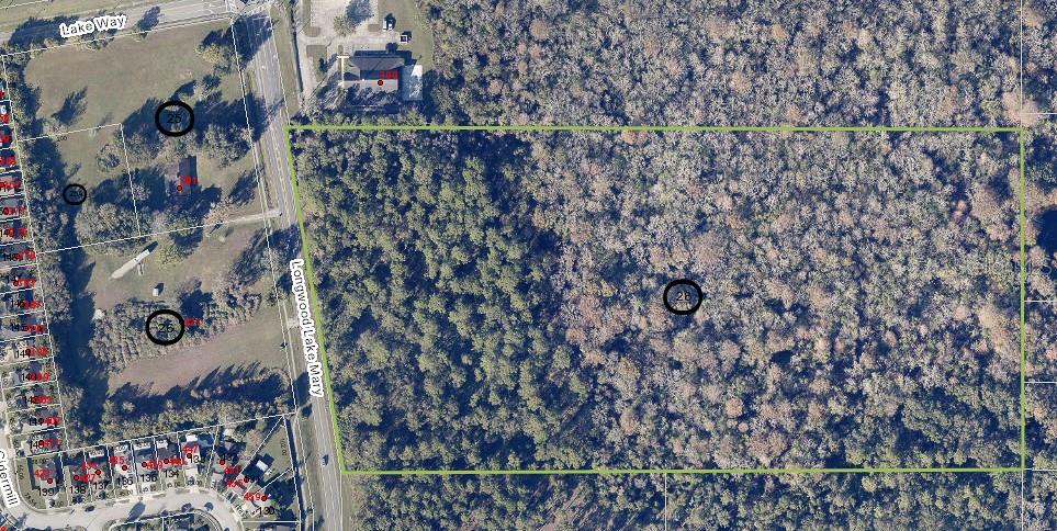 400 Longwood Lake Mary Rd Property Photo 6