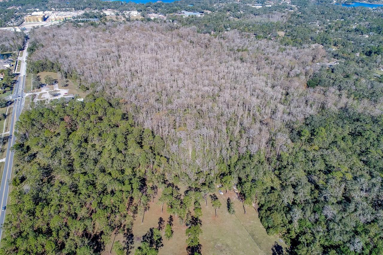 400 Longwood Lake Mary Rd Property Photo 7