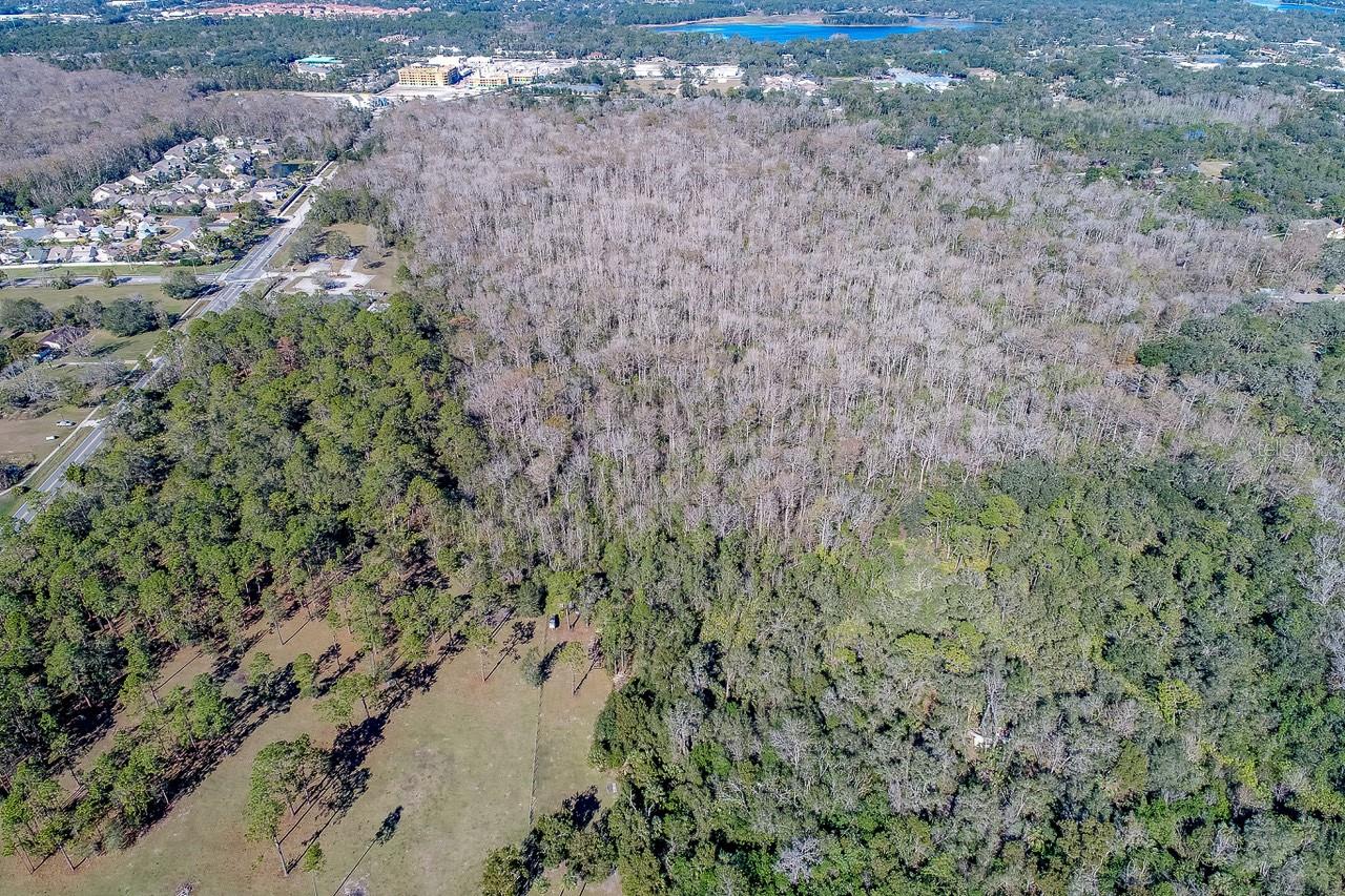400 Longwood Lake Mary Rd Property Photo 8