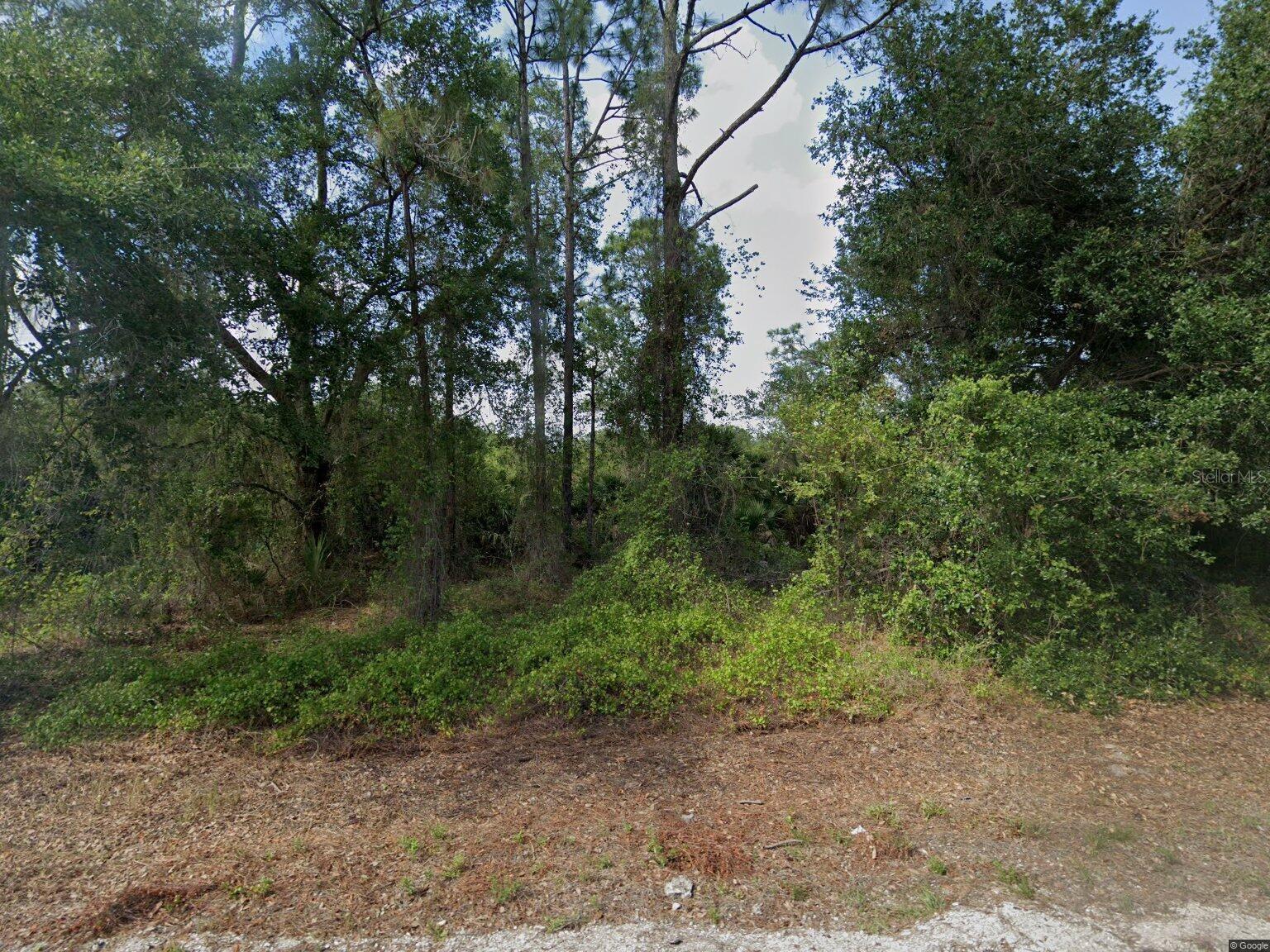 1015 PILGRIM ST E Property Photo 1