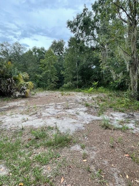 2850 Cleburne Rd Property Photo 8