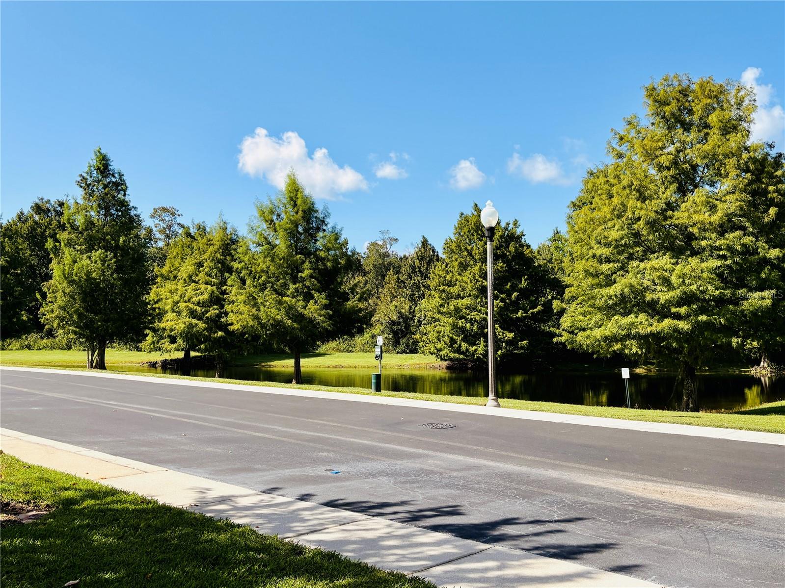 2009 Beachberry Ln Property Photo 46