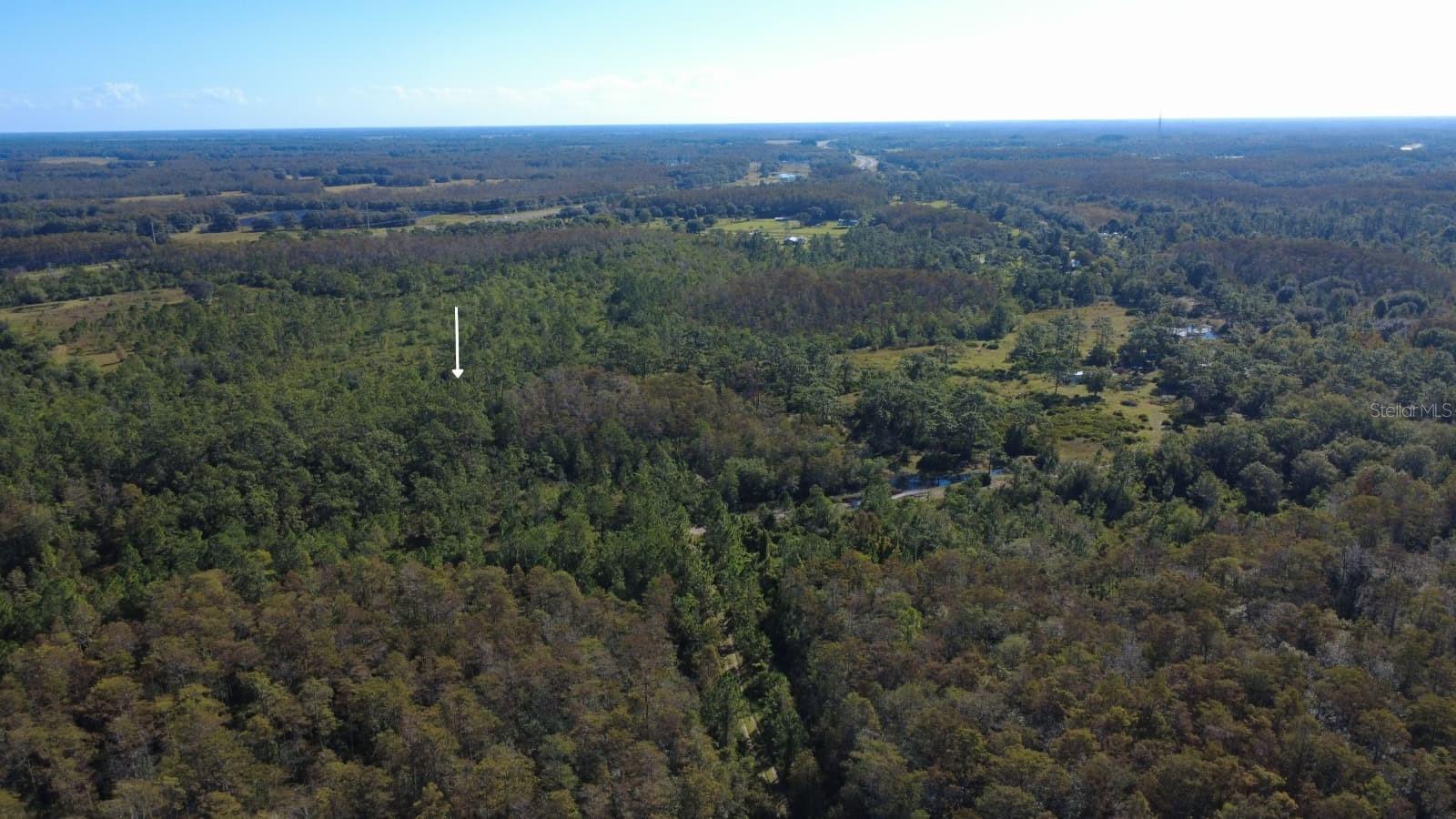 0 Cypress Creek Ranch Rd Property Photo 3