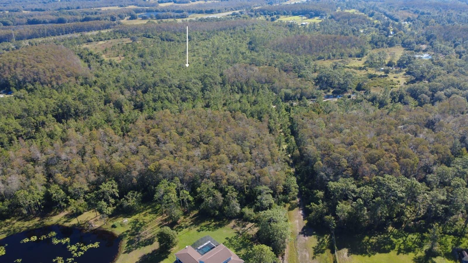 0 Cypress Creek Ranch Rd Property Photo 6