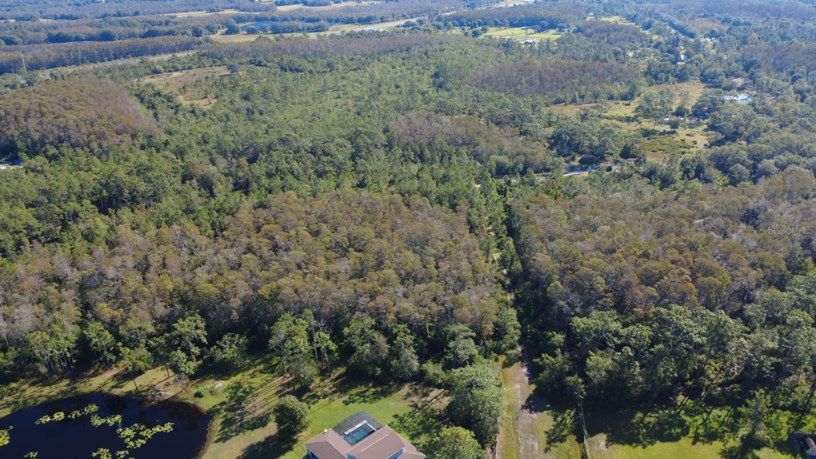 0 Cypress Creek Ranch Rd Property Photo 14