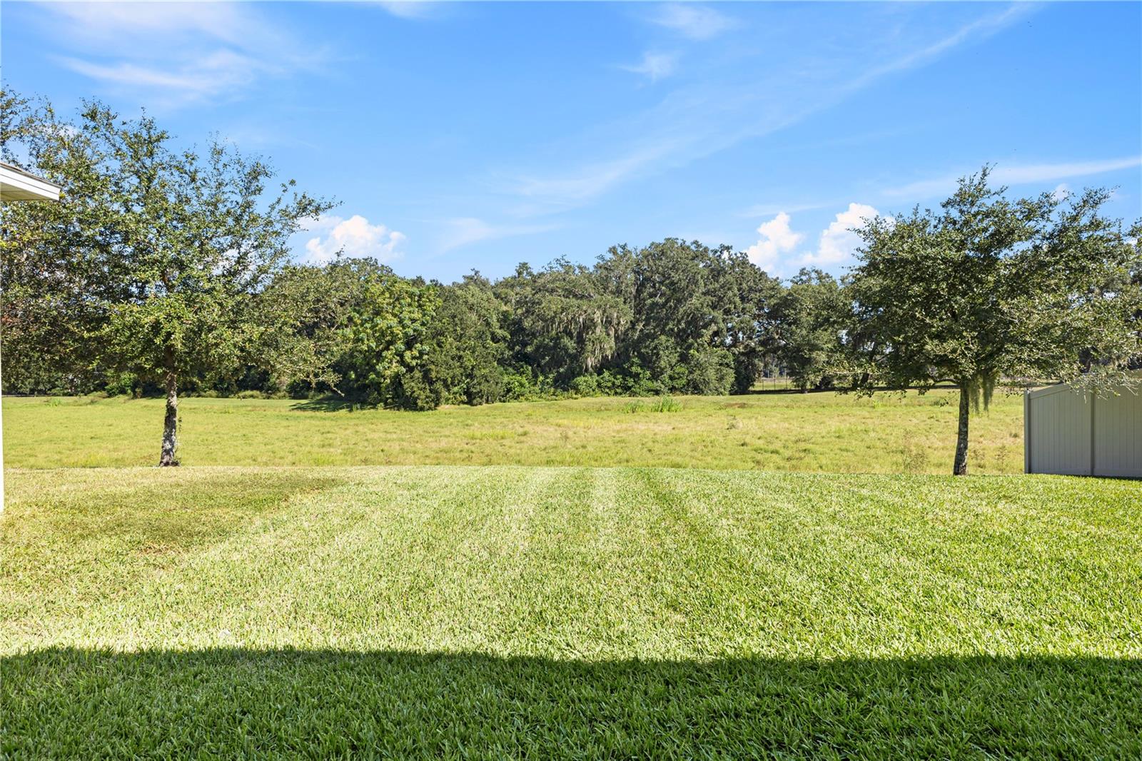 3090 Timber Hawk Cir Property Photo 40