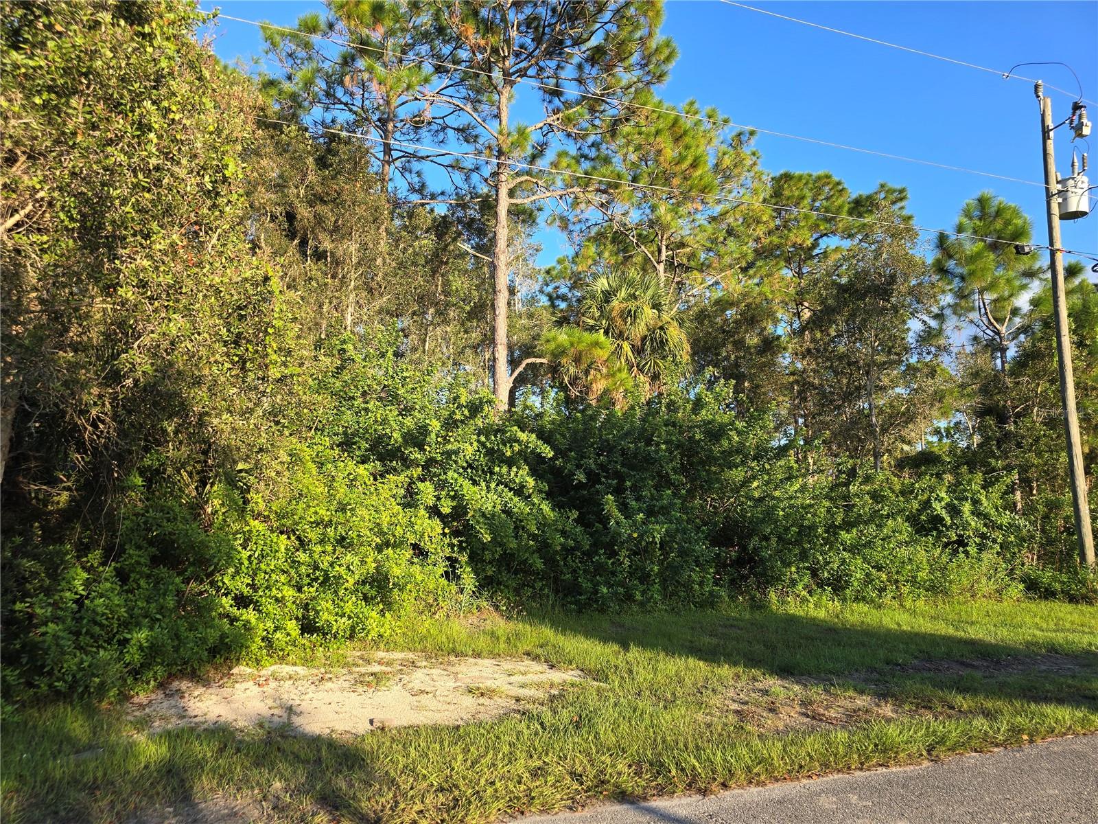 6012 Sara Ave N Property Photo 3
