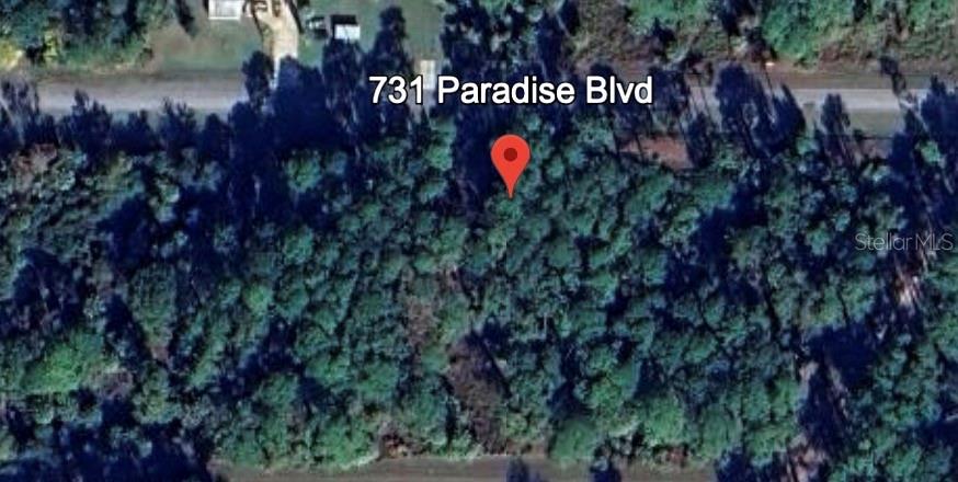 731 Paradise Blvd Property Photo 5