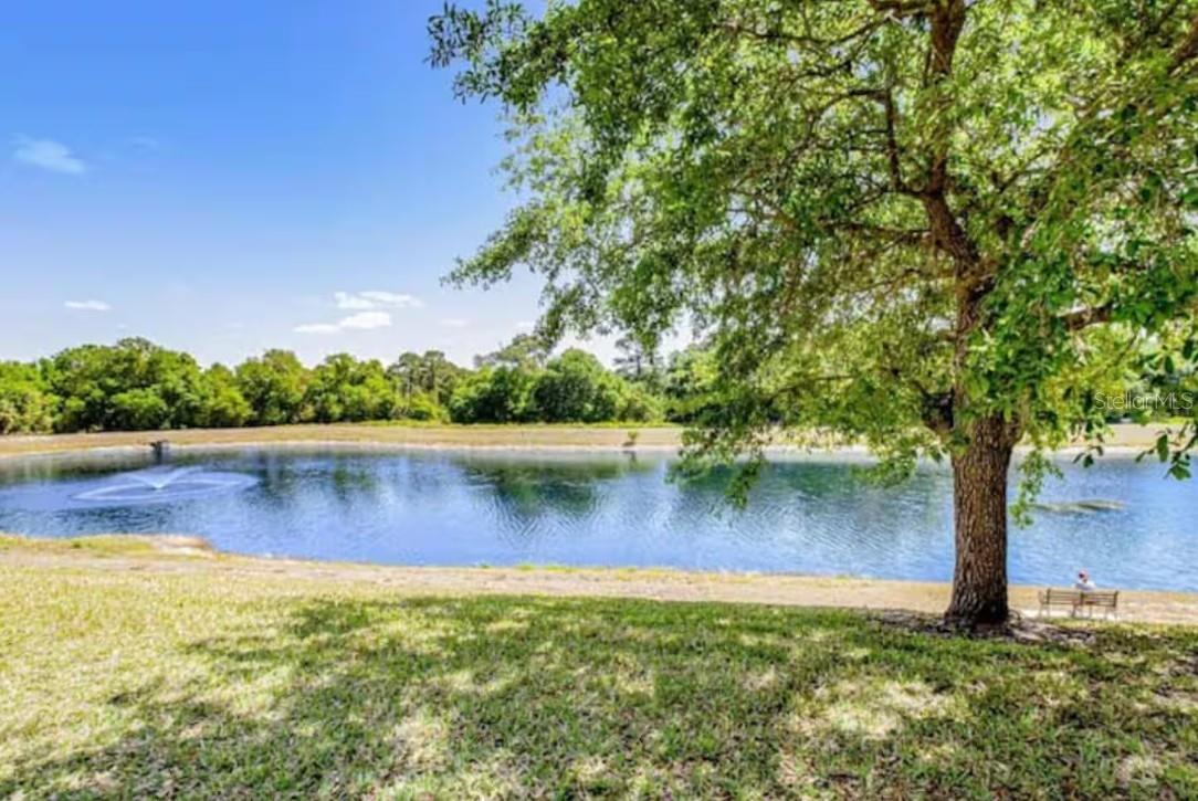 2888 Oakwater Dr #2888 Property Photo 29
