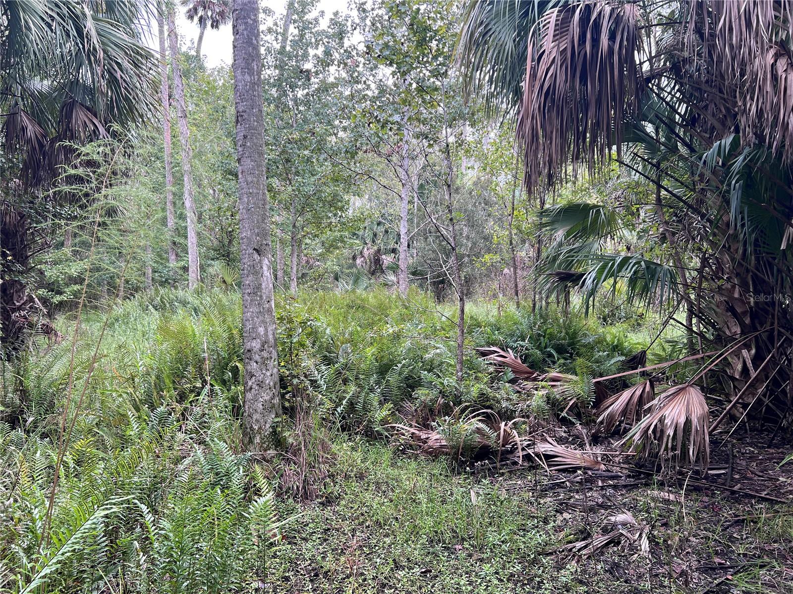 Nfs 73 / Alco Rd Property Photo 52