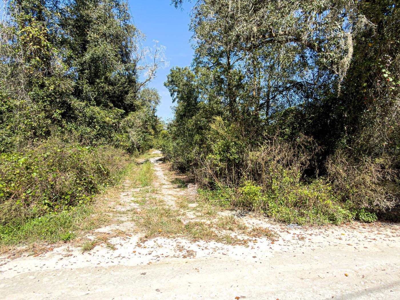 34095 Hyatt Rd Property Photo 6