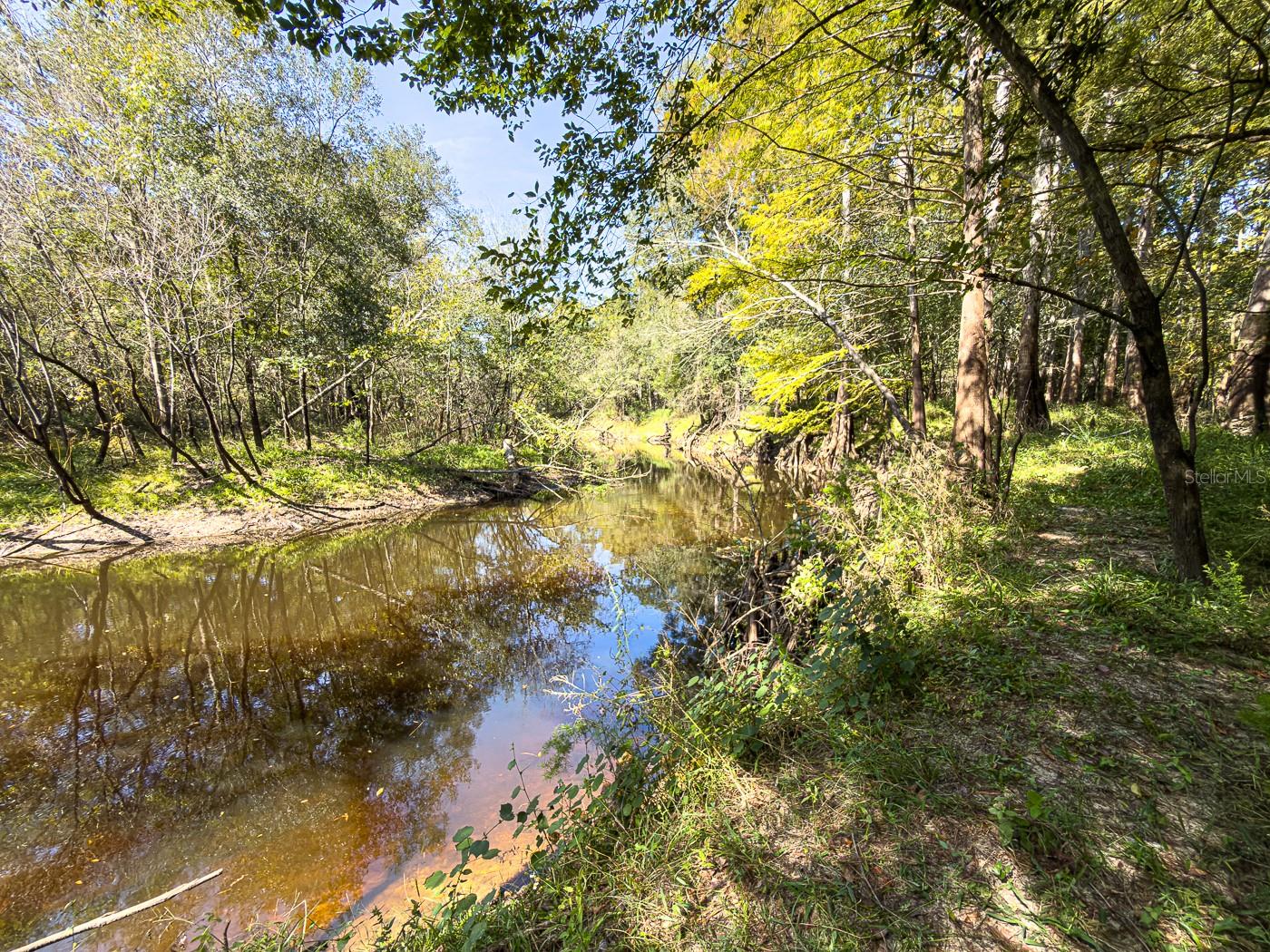 34095 Hyatt Rd Property Photo 15