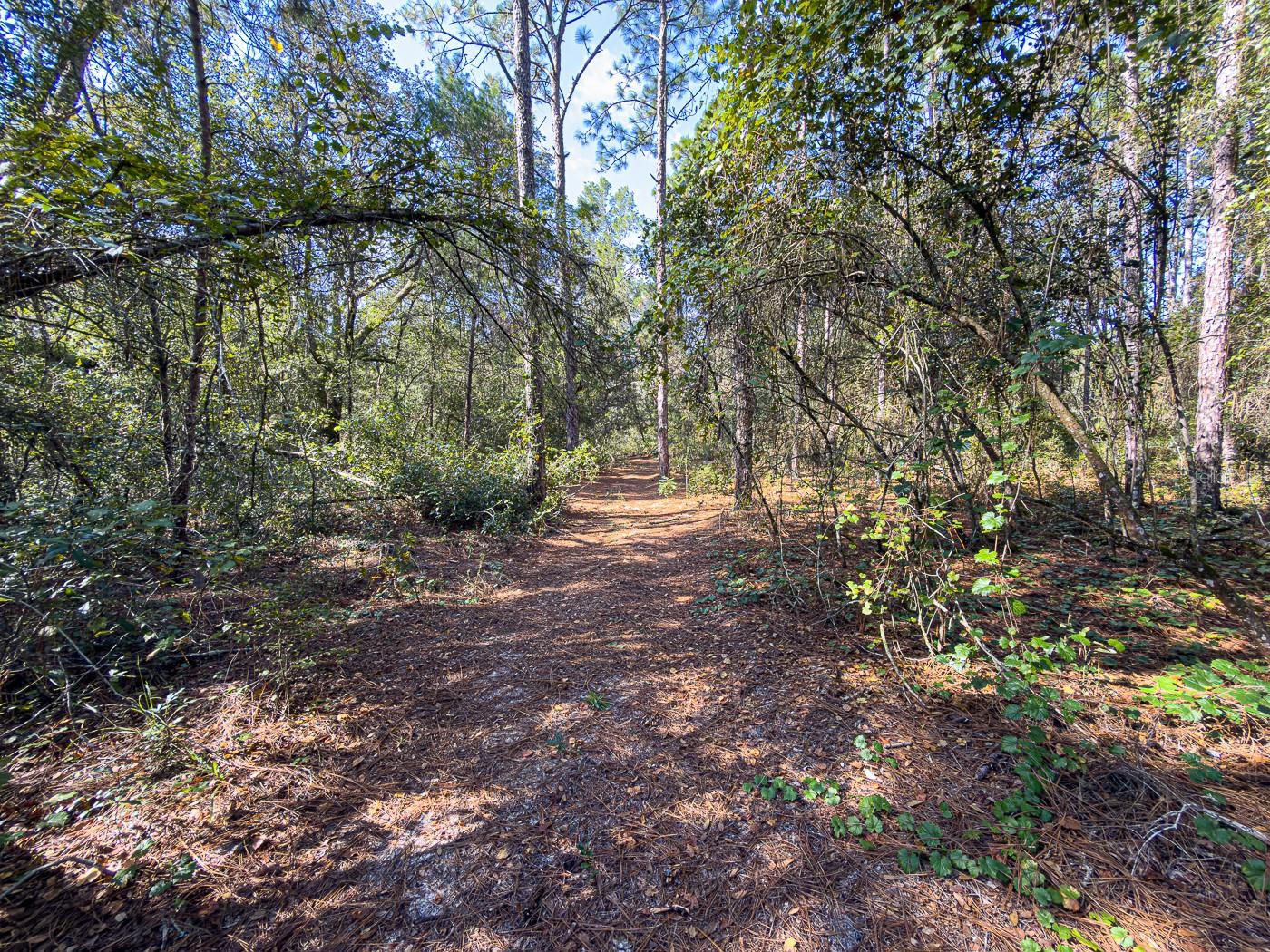 34095 Hyatt Rd Property Photo 17