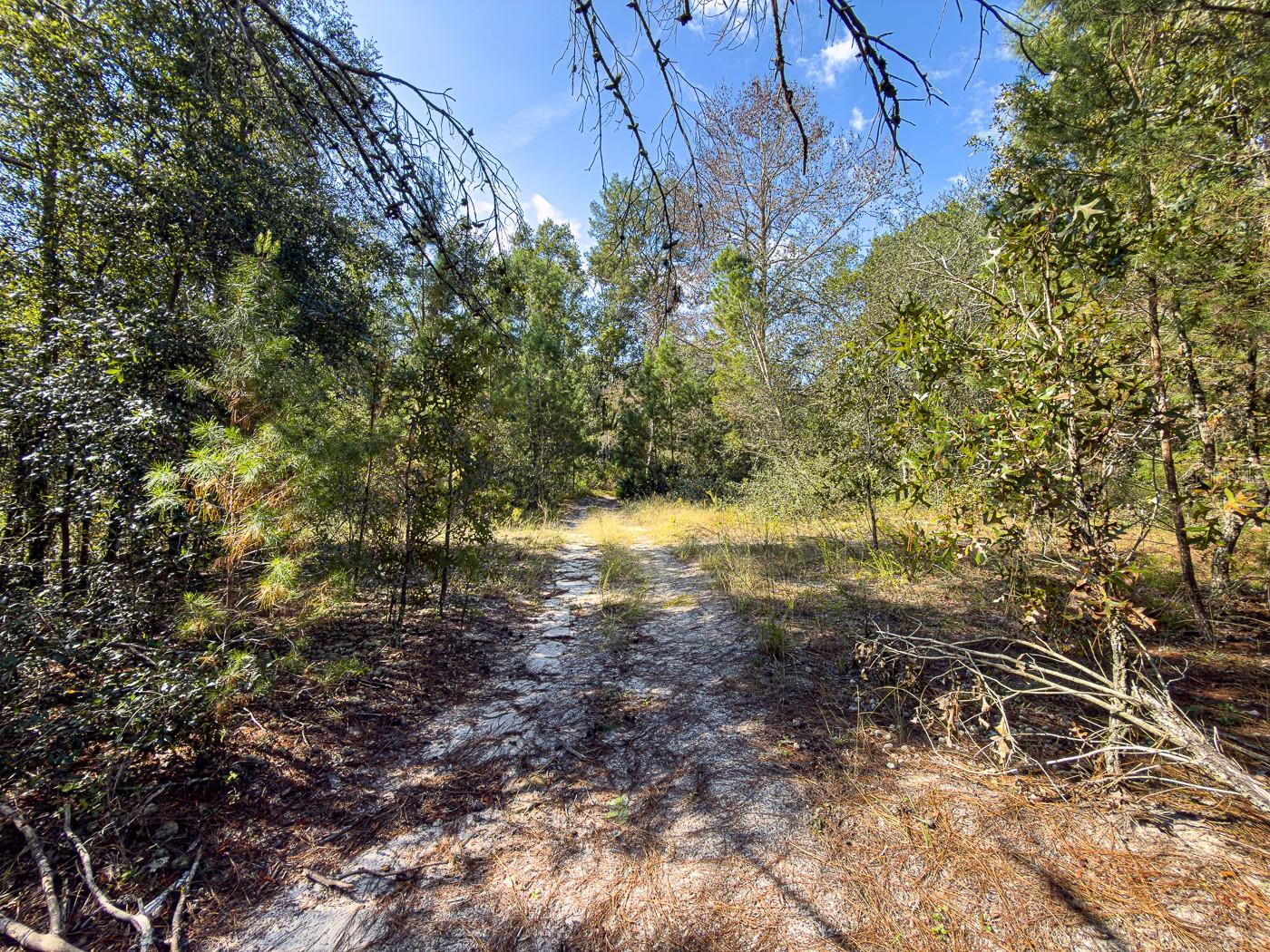 34095 Hyatt Rd Property Photo 18