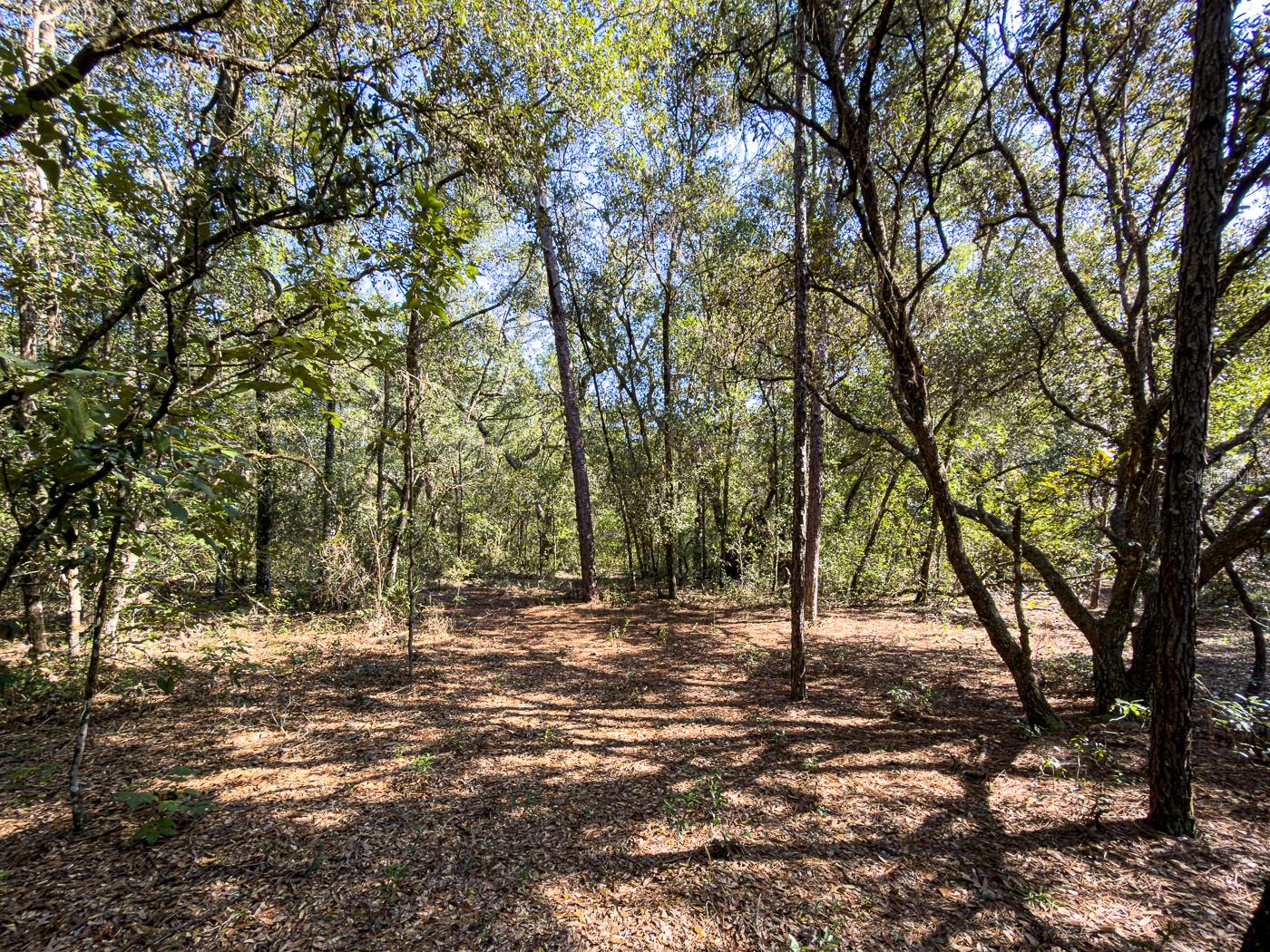34095 Hyatt Rd Property Photo 19