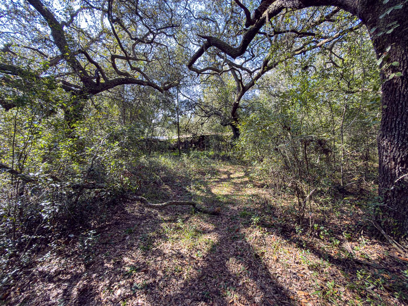 34095 Hyatt Rd Property Photo 22