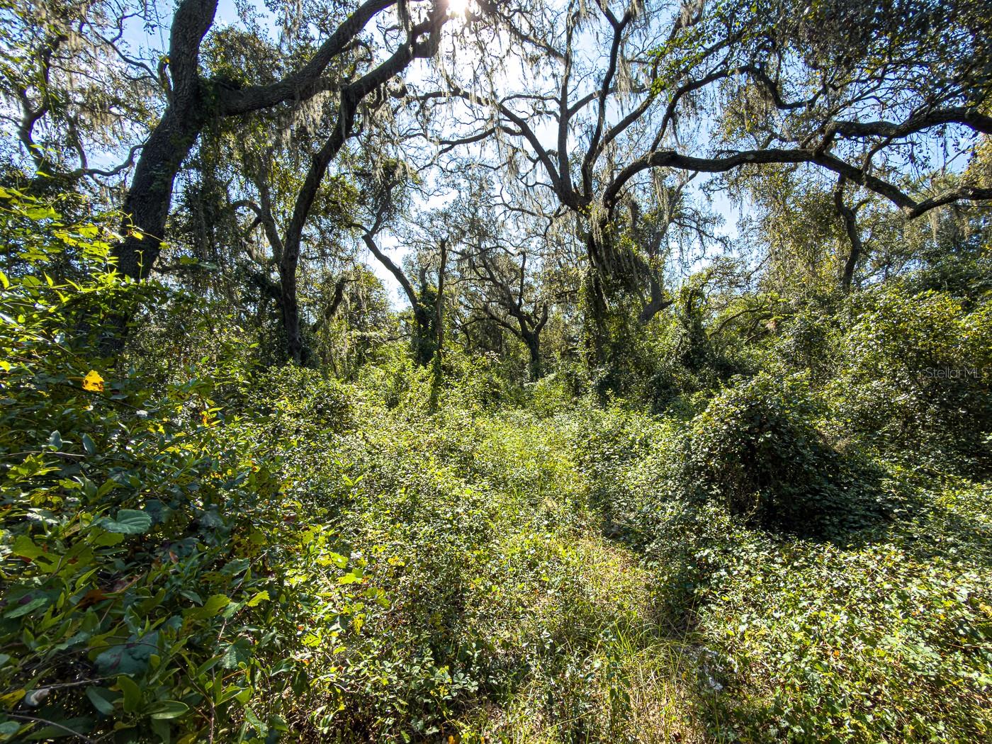 34095 Hyatt Rd Property Photo 23