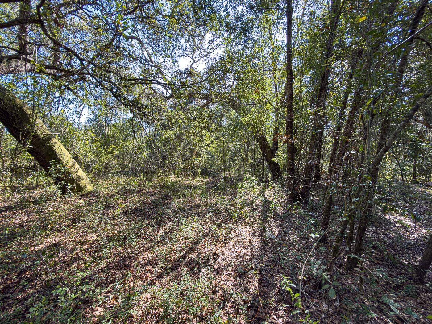 34095 Hyatt Rd Property Photo 25