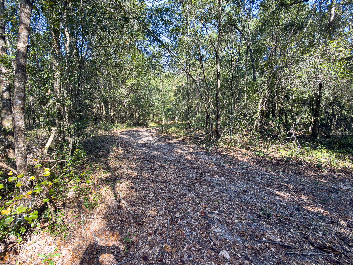 34095 Hyatt Rd Property Photo 26