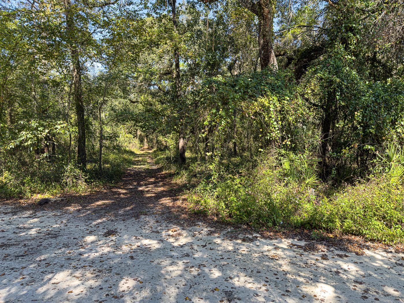 34095 Hyatt Rd Property Photo 27