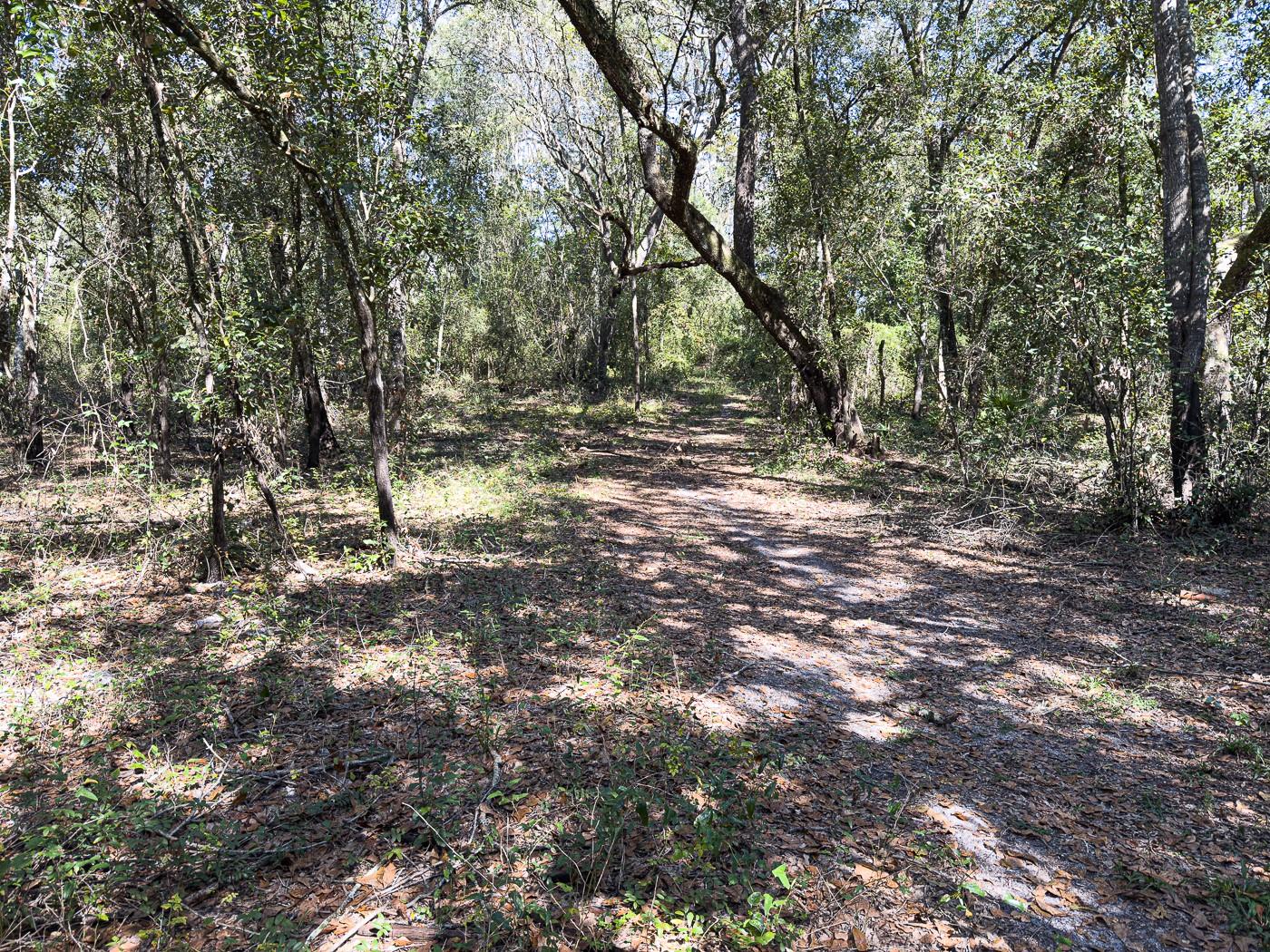 34095 Hyatt Rd Property Photo 28