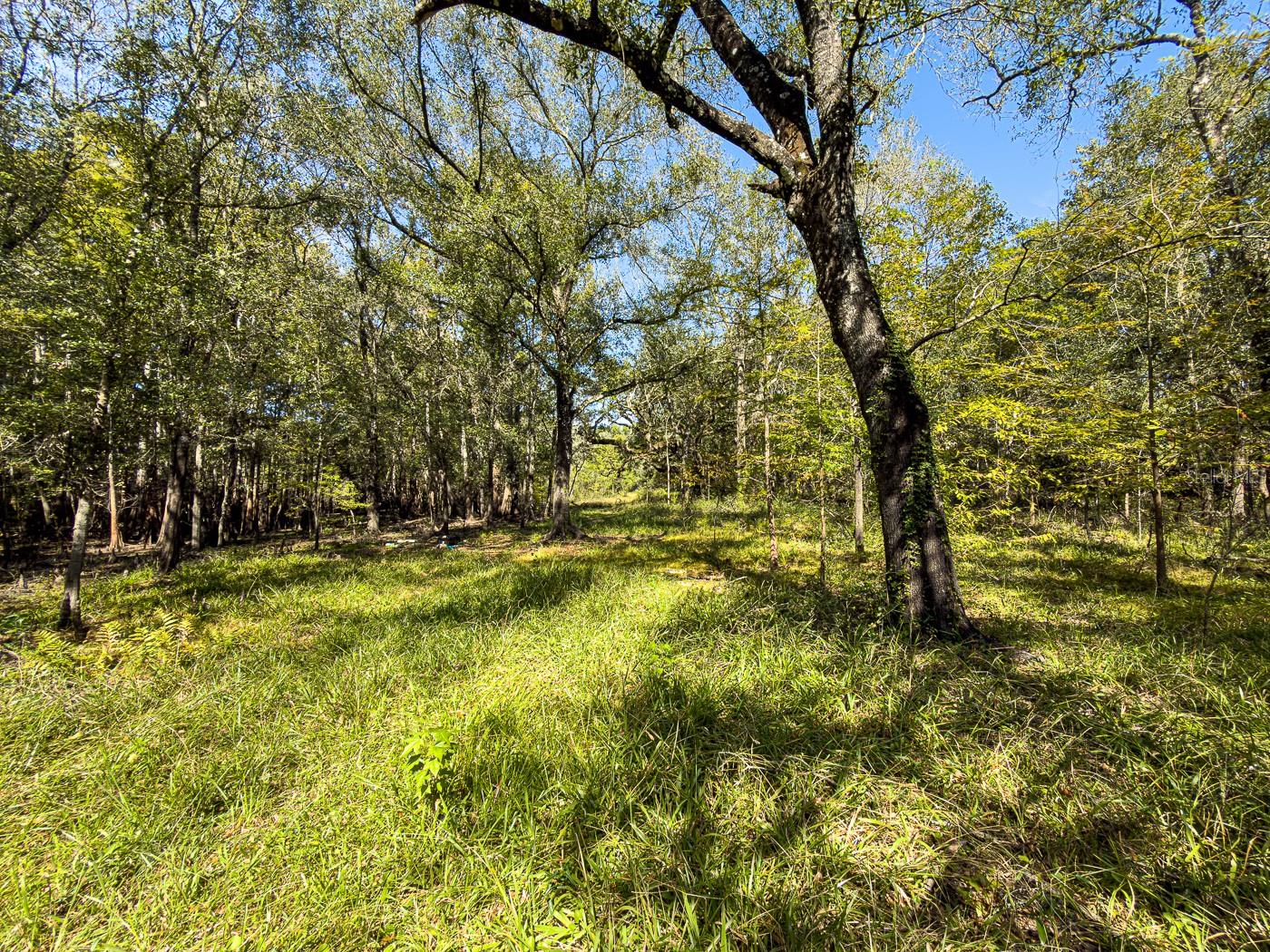 34095 Hyatt Rd Property Photo 29