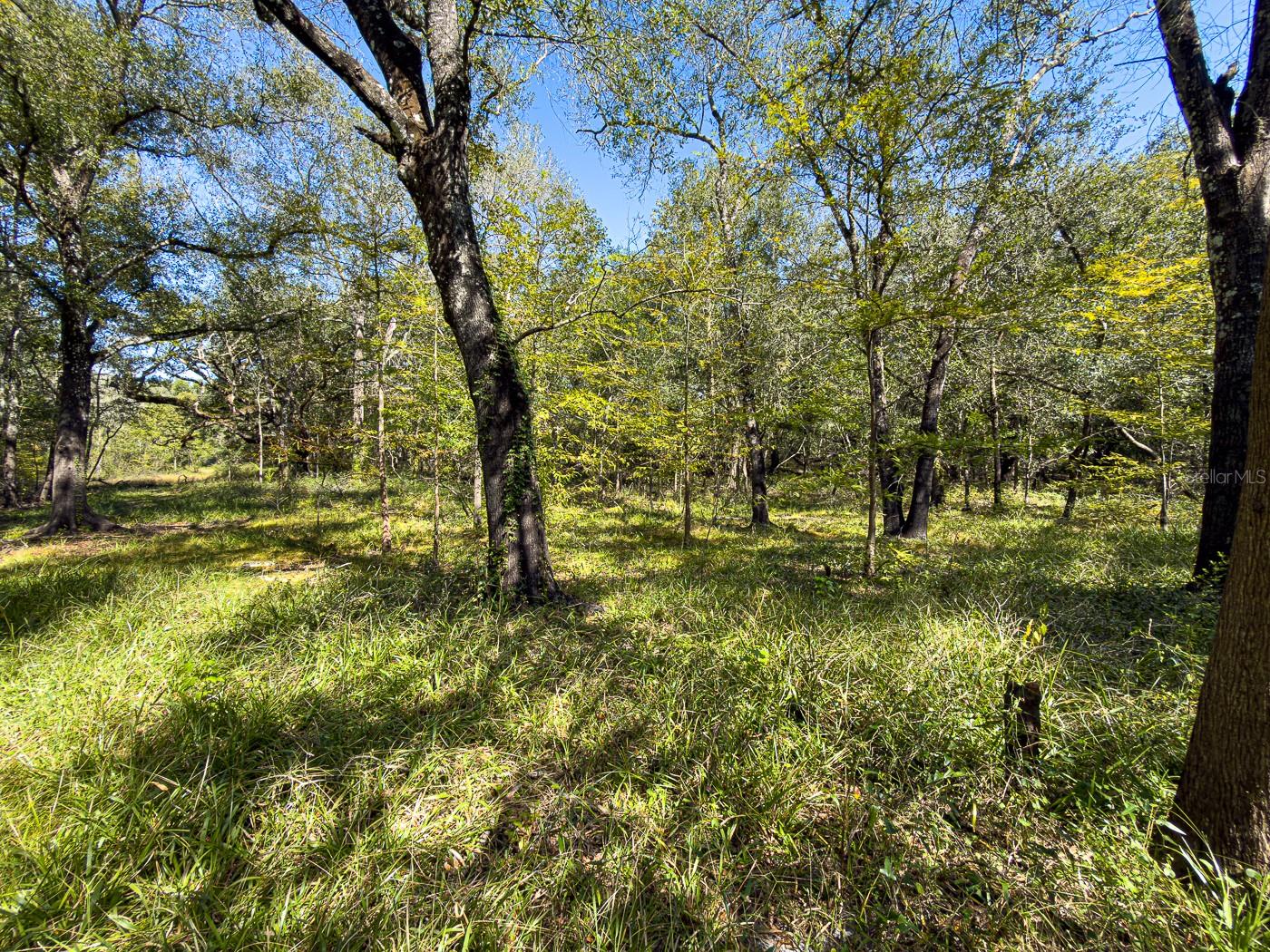 34095 Hyatt Rd Property Photo 30