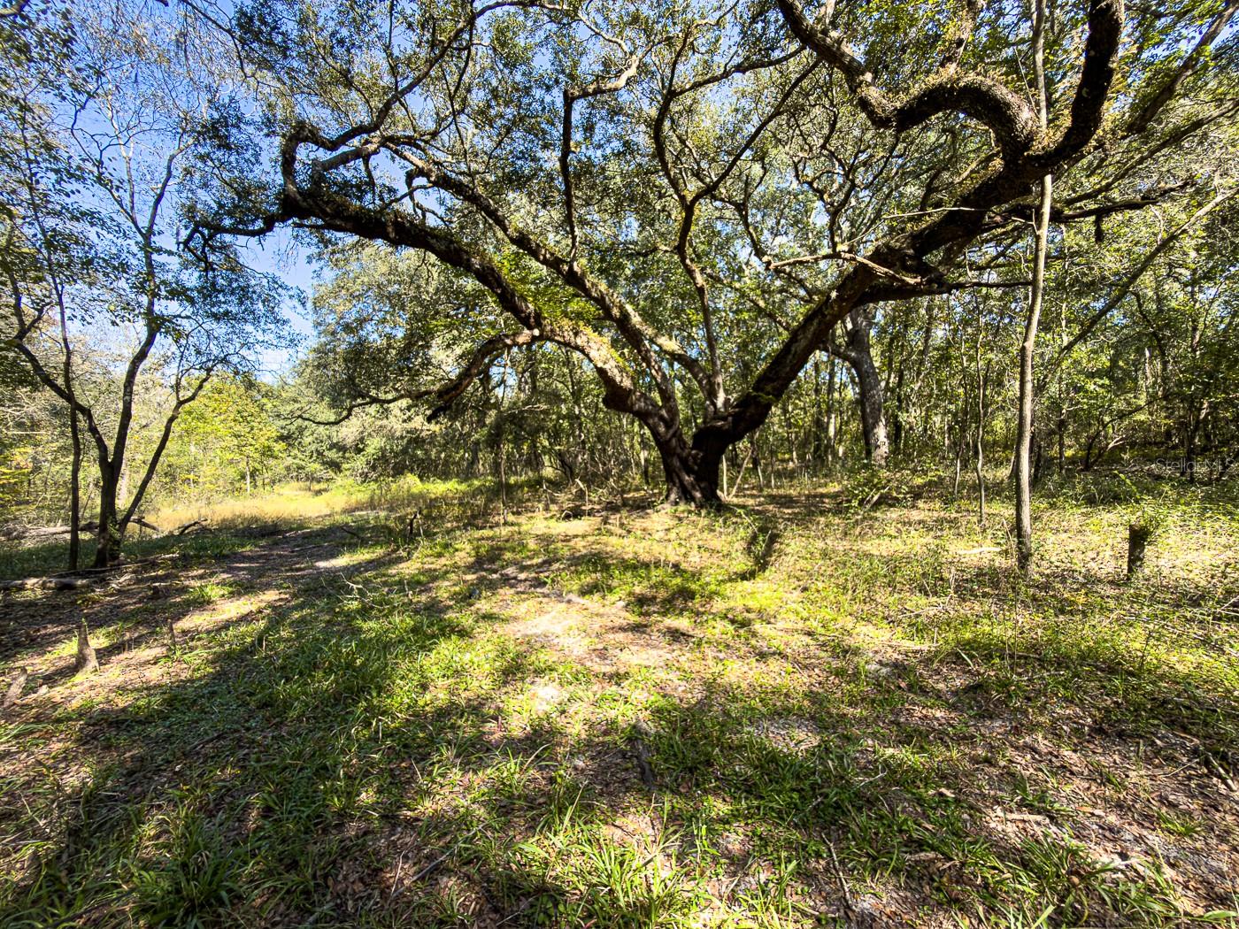 34095 Hyatt Rd Property Photo 34