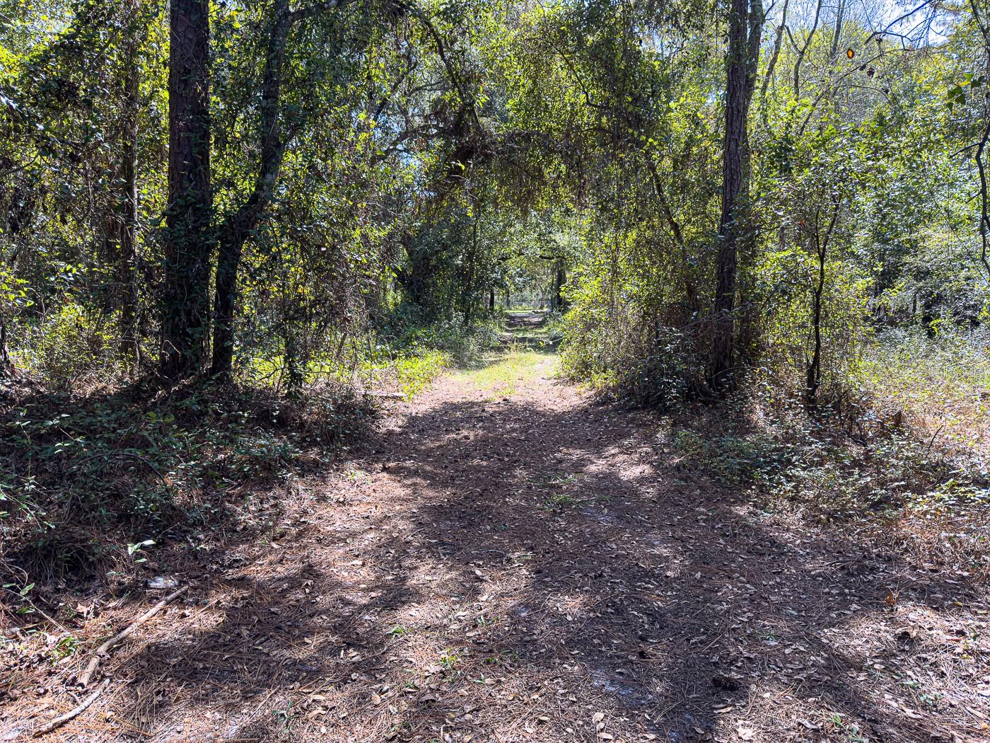 34095 Hyatt Rd Property Photo 35