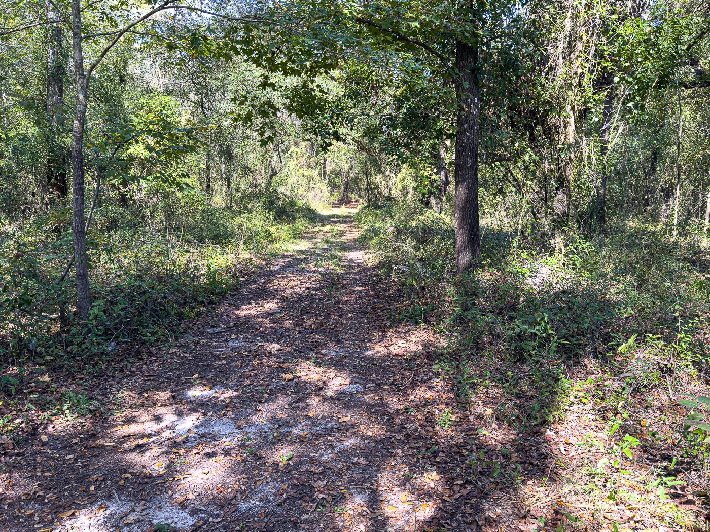 34095 Hyatt Rd Property Photo 36