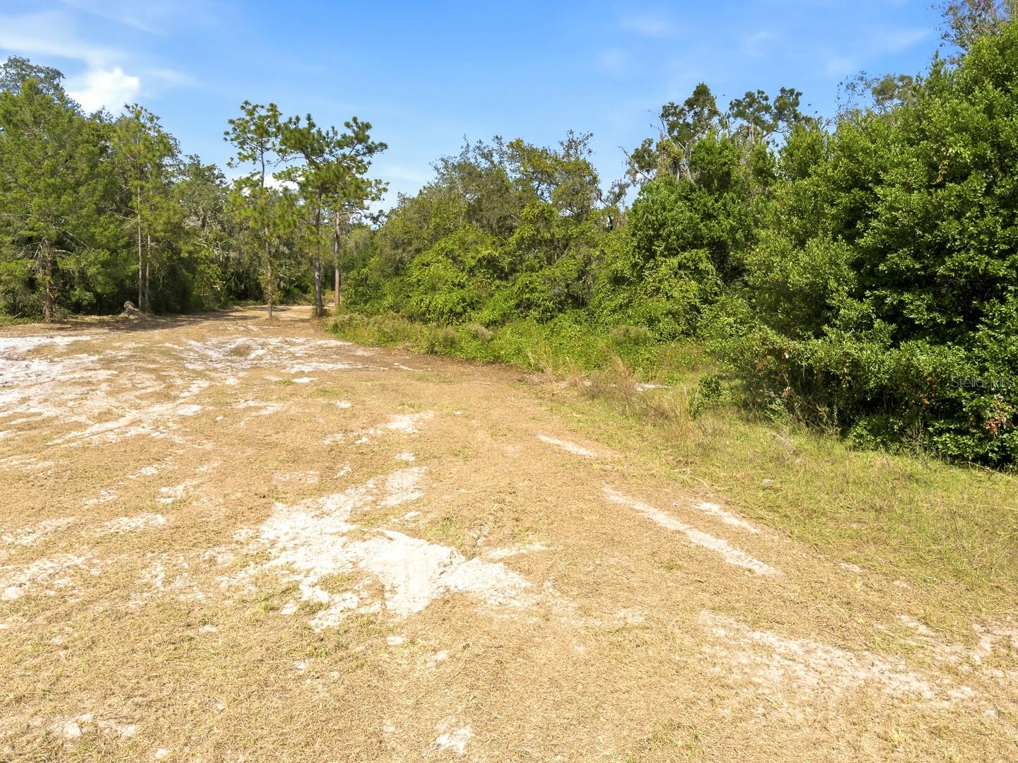 34095 Hyatt Rd Property Photo 38