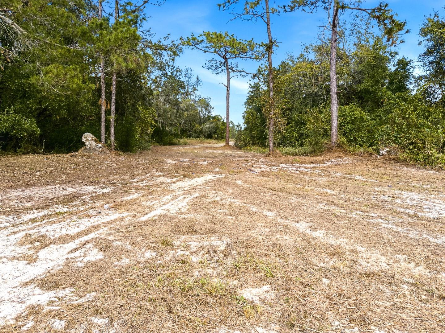 34095 Hyatt Rd Property Photo 39