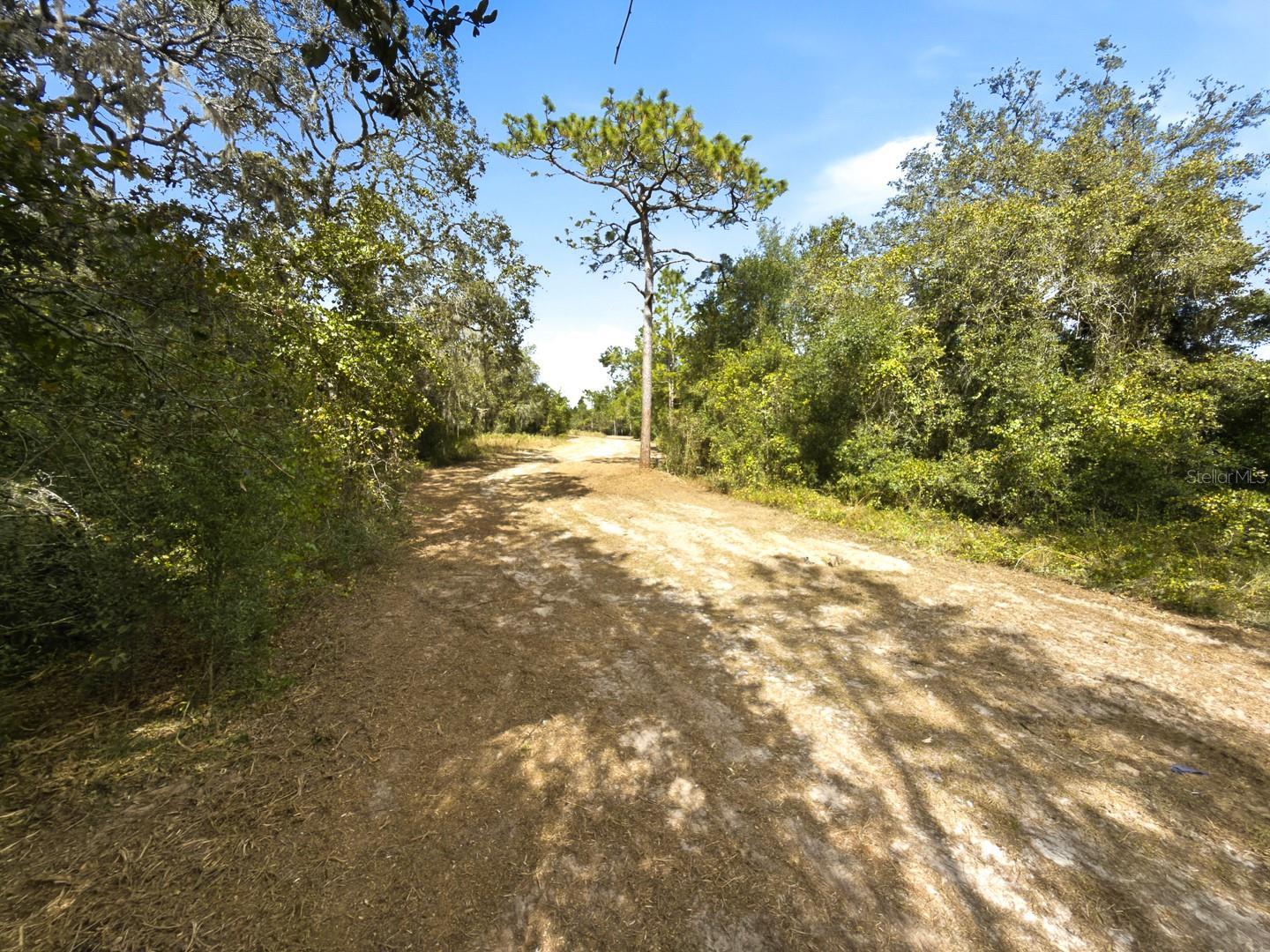 34095 Hyatt Rd Property Photo 40