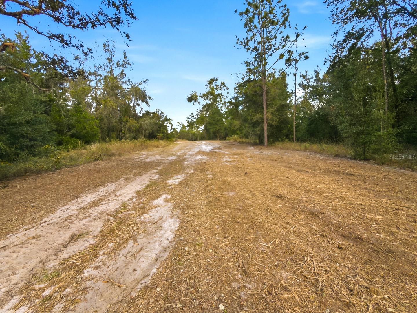 34095 Hyatt Rd Property Photo 41