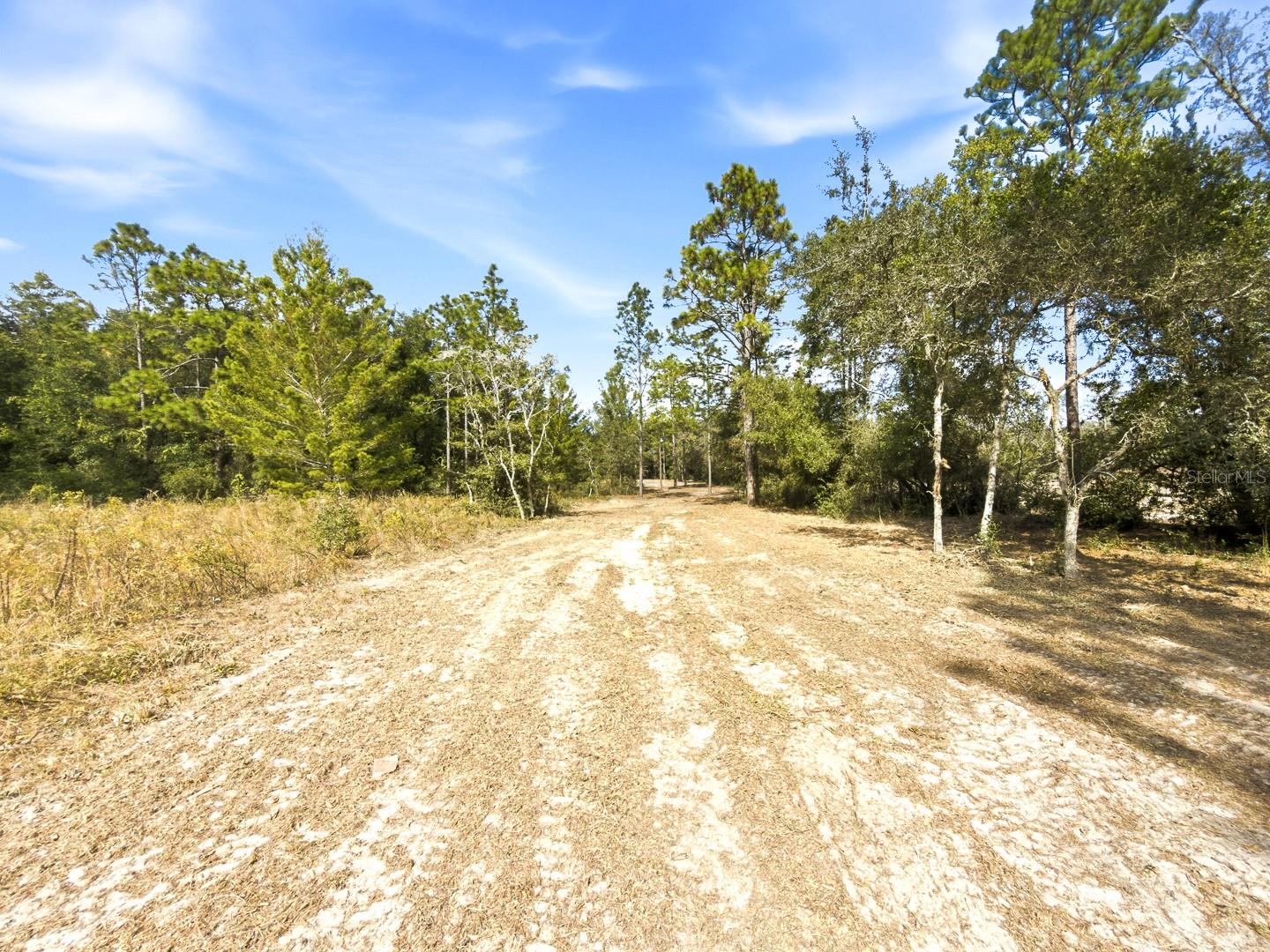 34095 Hyatt Rd Property Photo 42