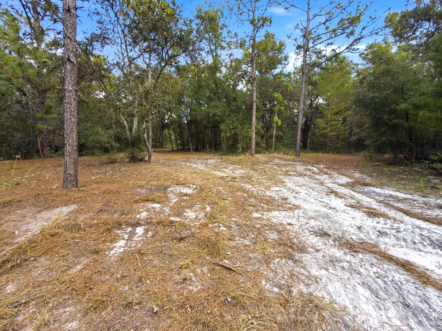 34095 Hyatt Rd Property Photo 43