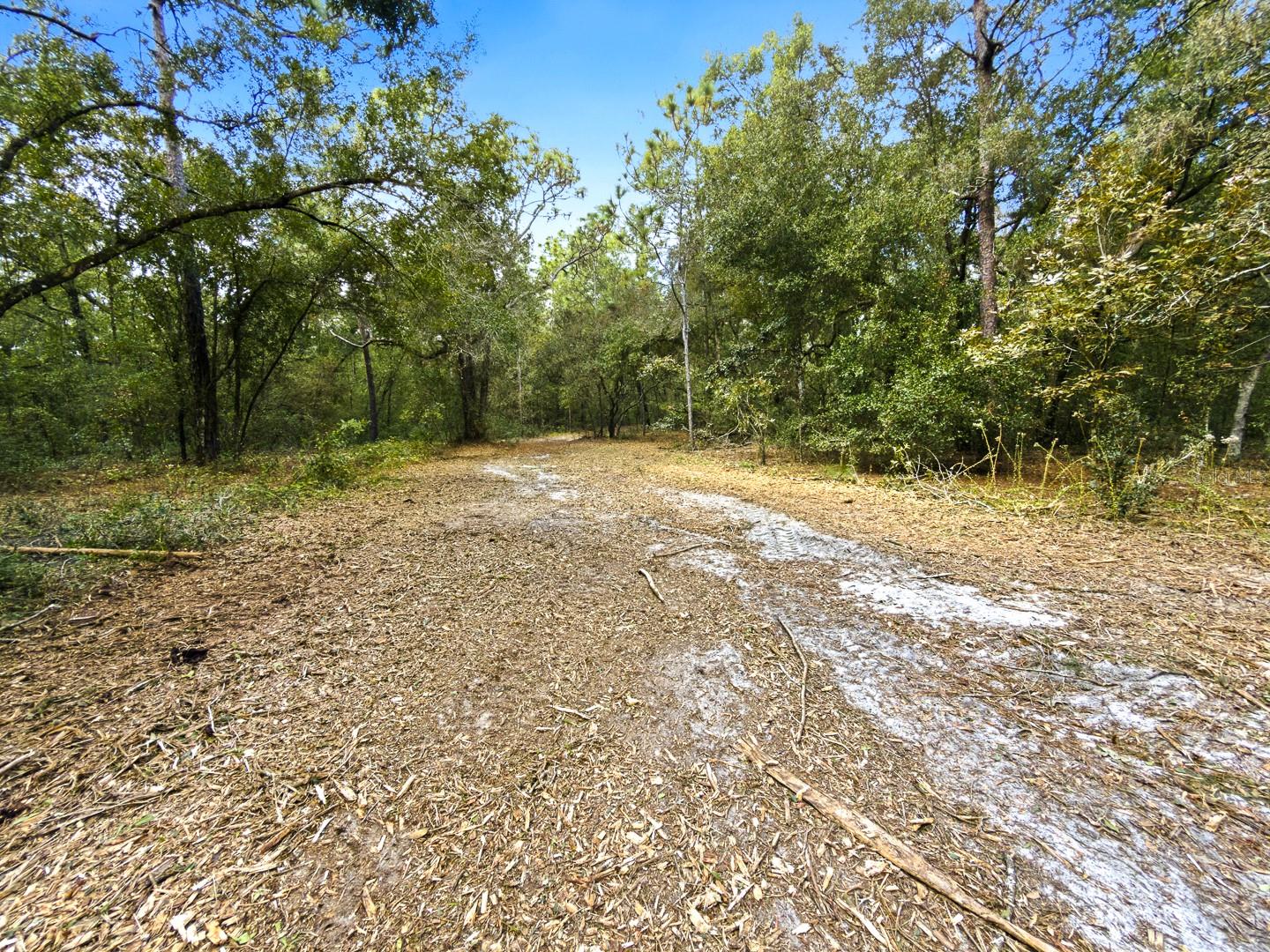 34095 Hyatt Rd Property Photo 44
