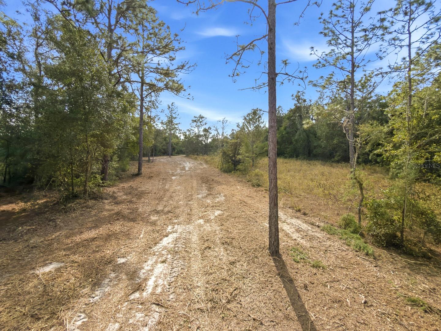 34095 Hyatt Rd Property Photo 45