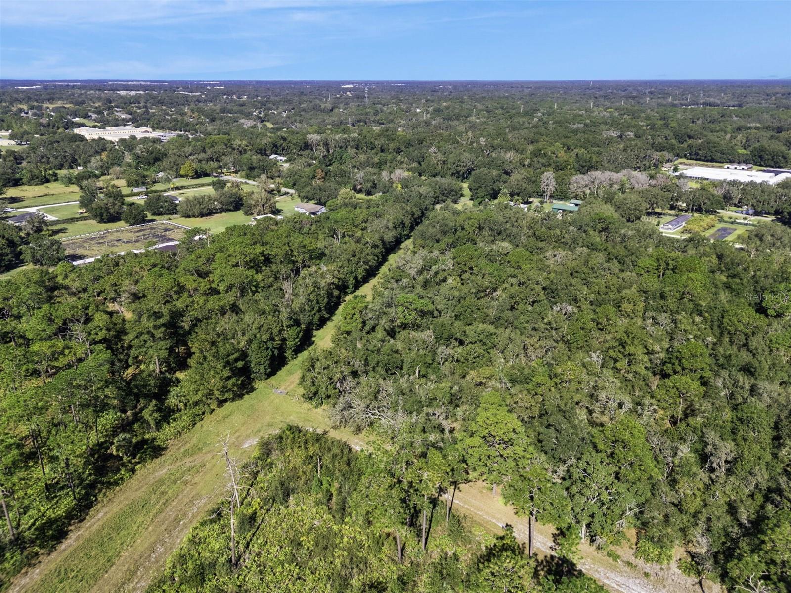 Faye St Property Photo 15