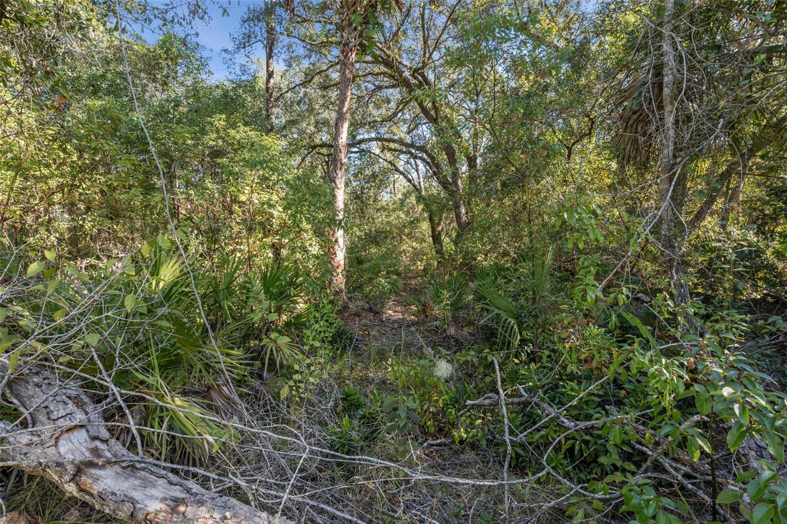 Faye St Property Photo 20