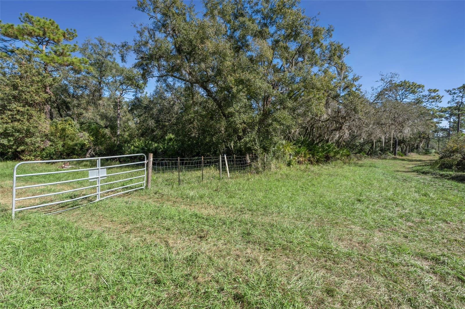 Faye St Property Photo 21