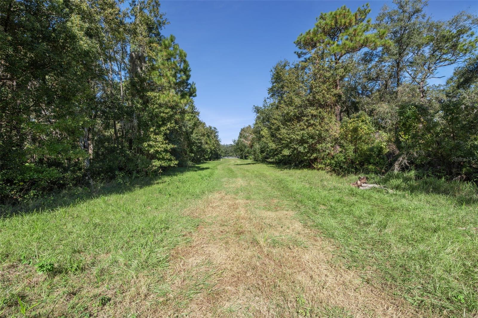 Faye St Property Photo 22