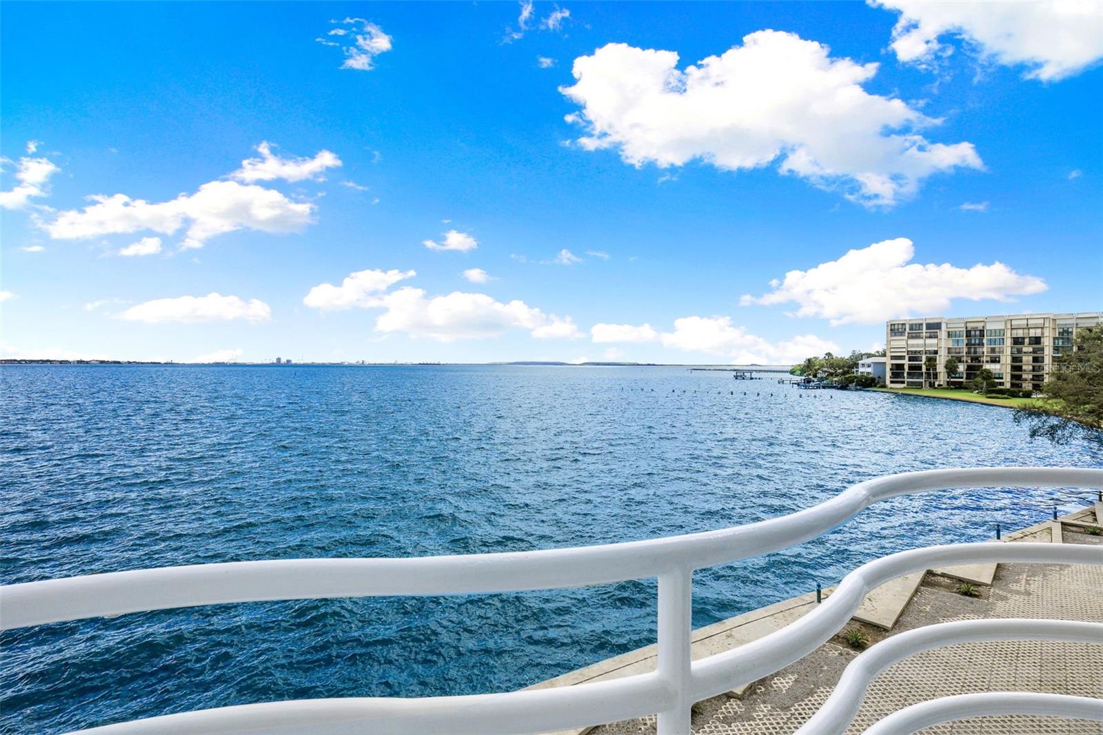 4950 Bayshore Blvd #23 Property Photo 26